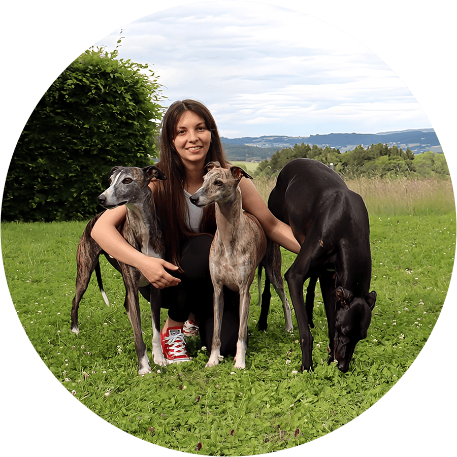 des chiens angéliques - éducation canine, coaching en comportement, école privée, promenade, service, lavaux, oron, lausanne, vaud, suisse